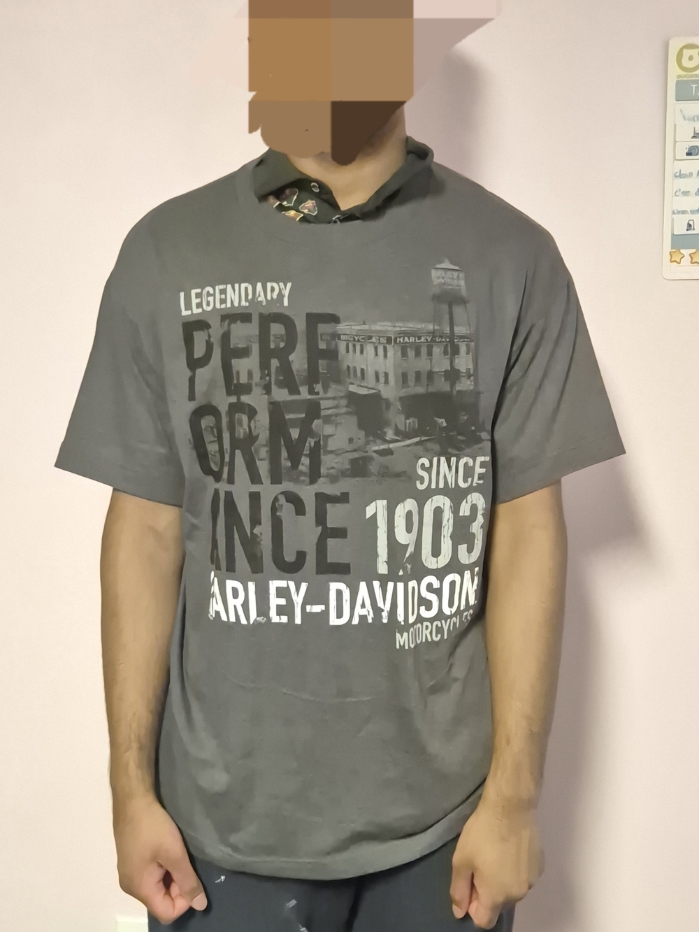 Harley-Davidson Larrge Gray Graphic Short Sleeve Tee